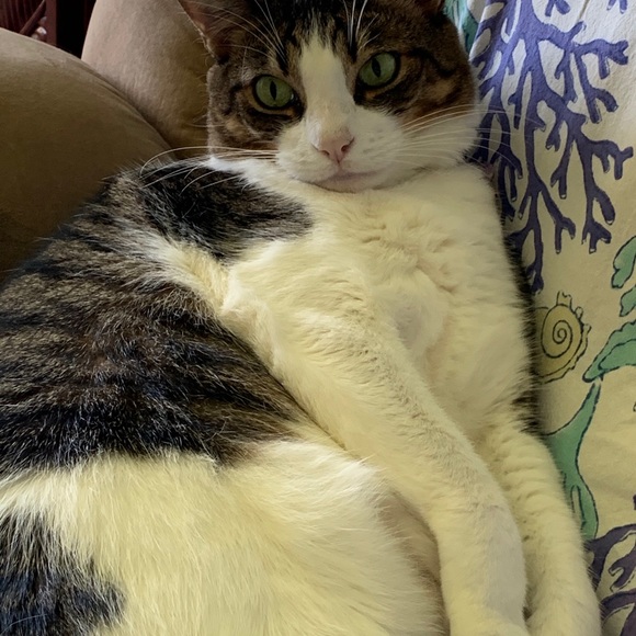 Meet your Posher, Michele - Picture 7 of 16